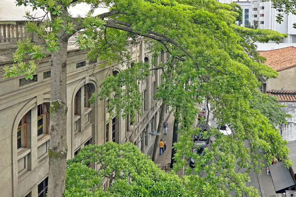 Claustro comfama renovado con materiales de gyplac