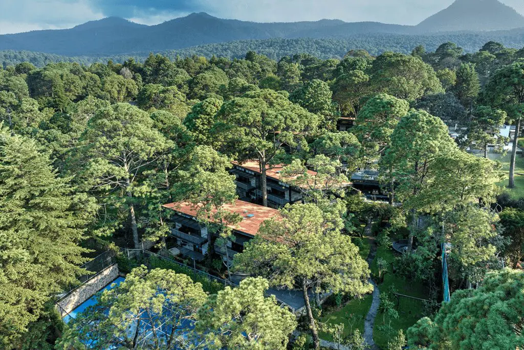 Un conjunto de casas en méxico entre árboles que se integra en el paisaje Un conjunto de casas en méxico entre árboles que se integra en el paisaje
