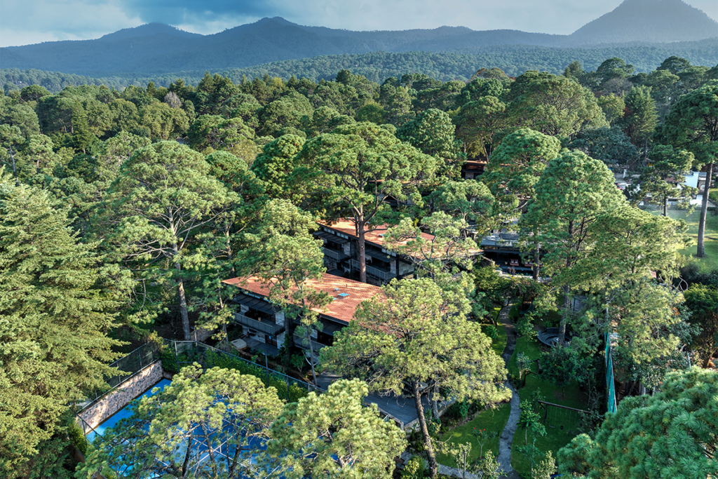 Un conjunto de casas en méxico entre árboles que se integra en el paisaje