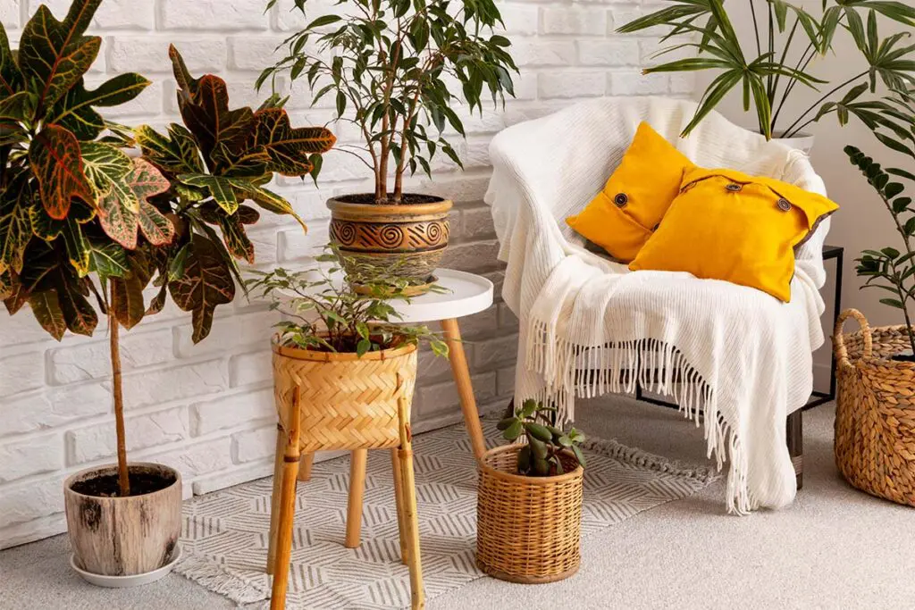 Diseño y arquitectura de espacios para la salud mental