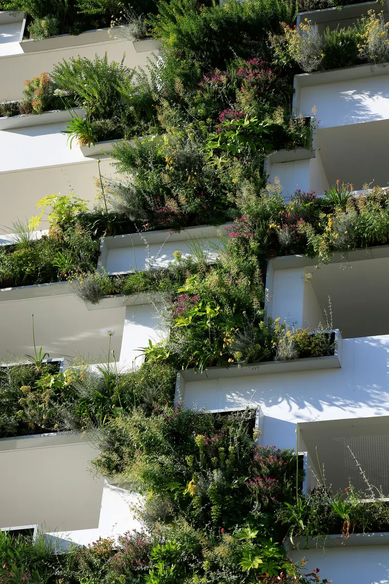 Vivir entre plantas y matorrales: conozca los apartamentos diseñados para conectarse con la naturaleza Vivir entre plantas y matorrales: conozca los apartamentos diseñados para conectarse con la naturaleza