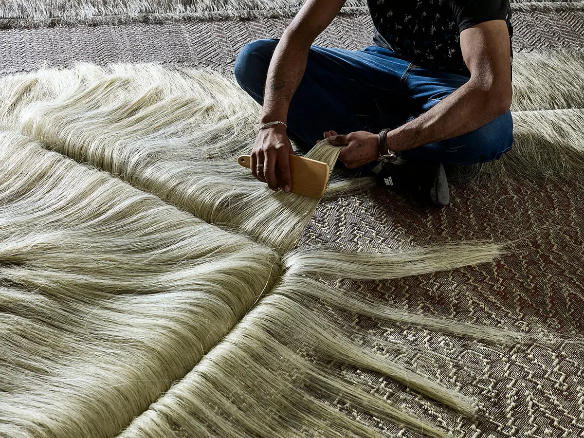 Jorge lizarazo Jorge lizarazo