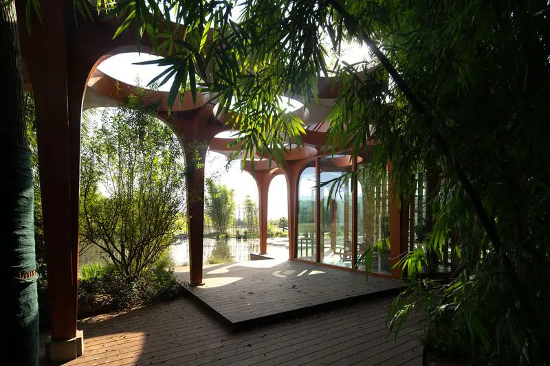 Un sorprendente salón cultural rodeado de bosque de bambú en china Un sorprendente salón cultural rodeado de bosque de bambú en china