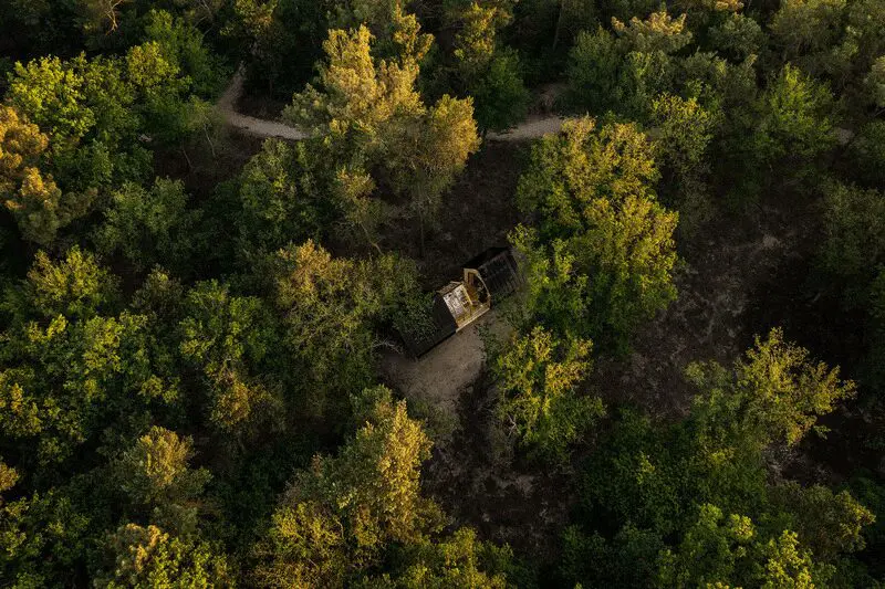 Esta es la galardonada cabaña de cristal en medio de la naturaleza que fue diseñada para ver el cielo de la región Esta es la galardonada cabaña de cristal en medio de la naturaleza que fue diseñada para ver el cielo de la región