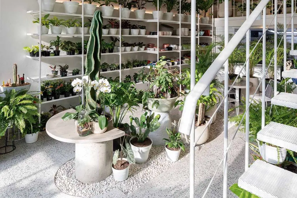 Este hermoso ‘bosque urbano’ es a la vez un restaurante y un vivero