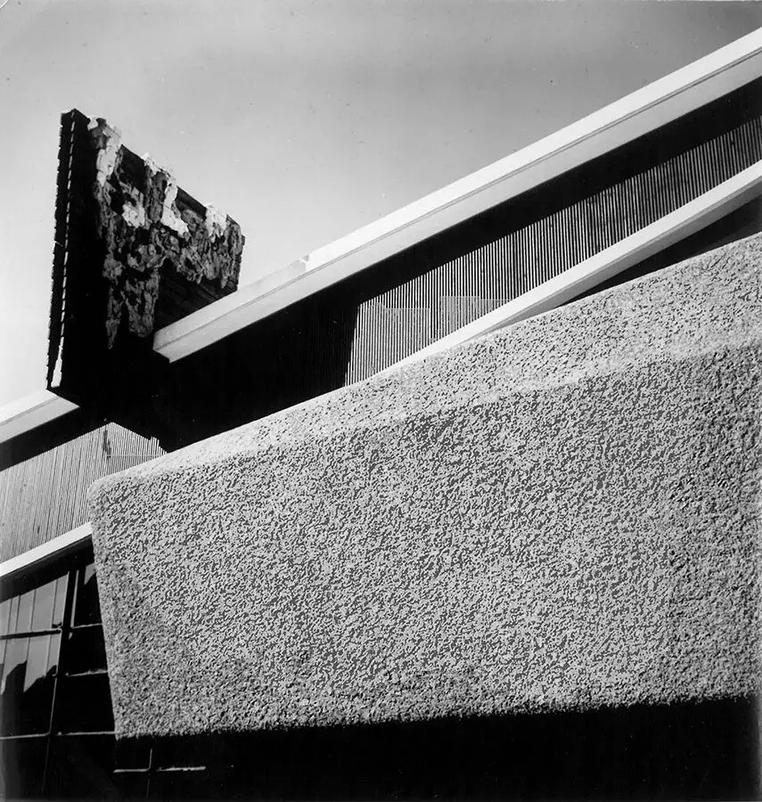 Hombre complejo, hombre completo