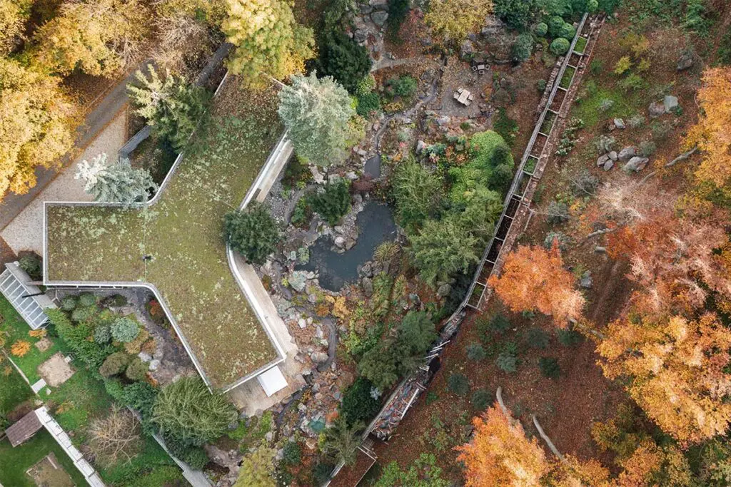 Una vivienda en eslovaquia pensada para desaparecer en el bosque