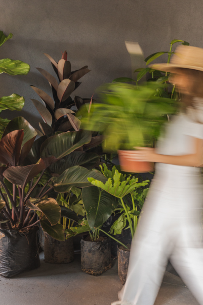 Hechas por artesanos del país, estas piezas decorativas conceden vida a los espacios Hechas por artesanos del país, estas piezas decorativas conceden vida a los espacios