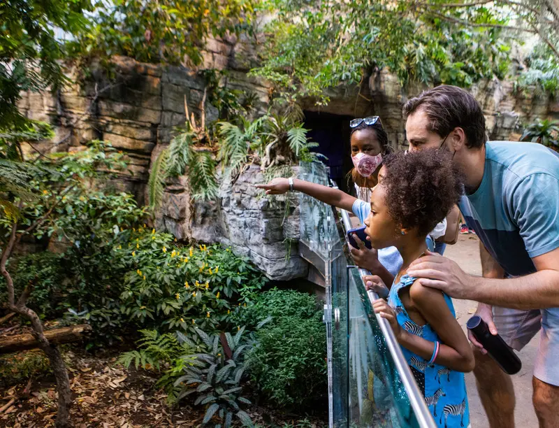 Un sorprendente museo de ciencias, fauna y flora que se destaca mundialmente gracias a su diseño