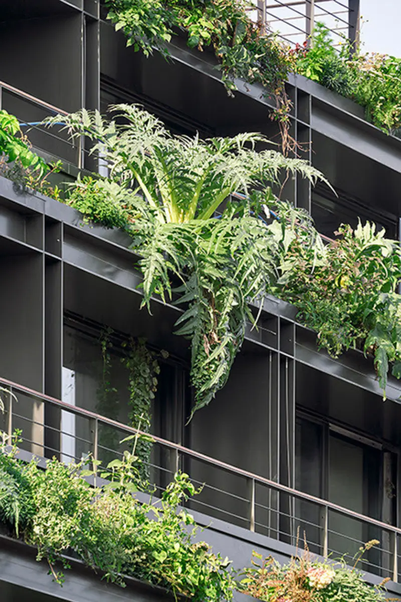 Press kit | 2001-01 - press release | villa m takes amazon to paris with tropical building - triptyque architecture + philippe starck - commercial architecture - villa m balcony - photo credit: yann monel