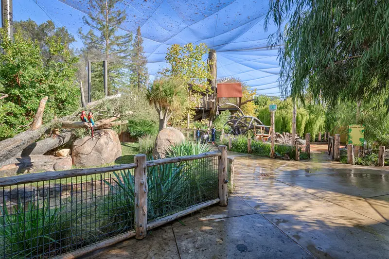 Press kit | 2757-27 - press release | a new zoo experience in silicon valley - caw architects - institutional architecture -   the zoo itself is a large aviary for birds to fly freely. - photo credit: marco zecchin photography
