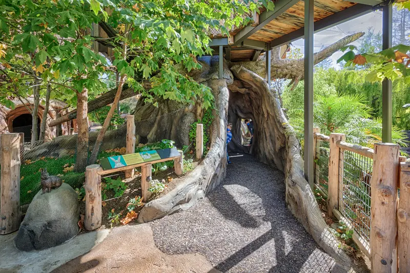 Press kit | 2757-27 - press release | a new zoo experience in silicon valley - caw architects - institutional architecture -  the treehouse anchors the zoo and creates a structure for kids to explore freely. - photo credit: marco zecchin photography