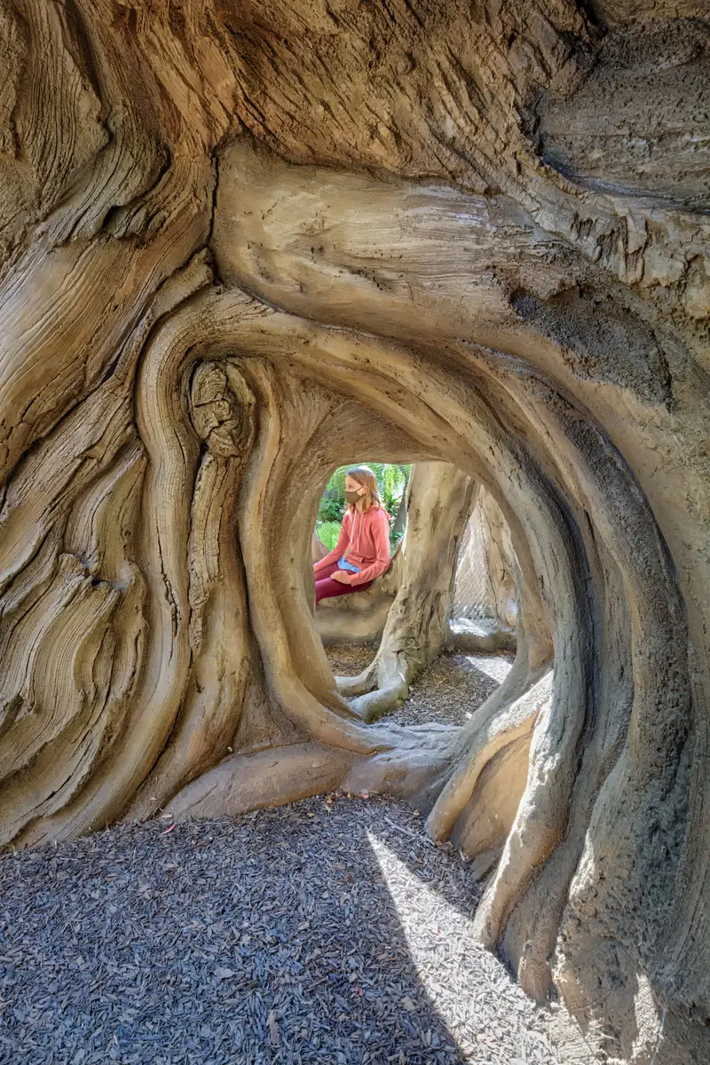 Press kit | 2757-27 - press release | a new zoo experience in silicon valley - caw architects - institutional architecture - kids exploring underneath the treehouse. - photo credit: marco zecchin photography
