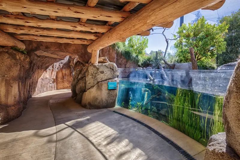 Press kit | 2757-27 - press release | a new zoo experience in silicon valley - caw architects - institutional architecture - view of the design for the interactive aquarium exhibit. - photo credit: marco zecchin photography