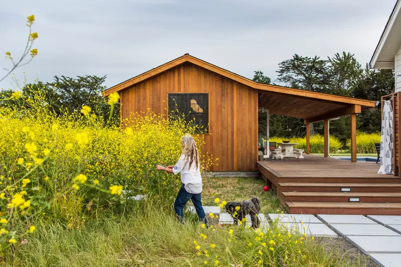 Press kit | 2757-28 - press release | architect and artist gustave carlson redefines california hygge - gustave carlson design - residential architecture -  sonoma residence: the wild mustard meadow beautifully surrounds the property. - photo credit: laure joliet photography