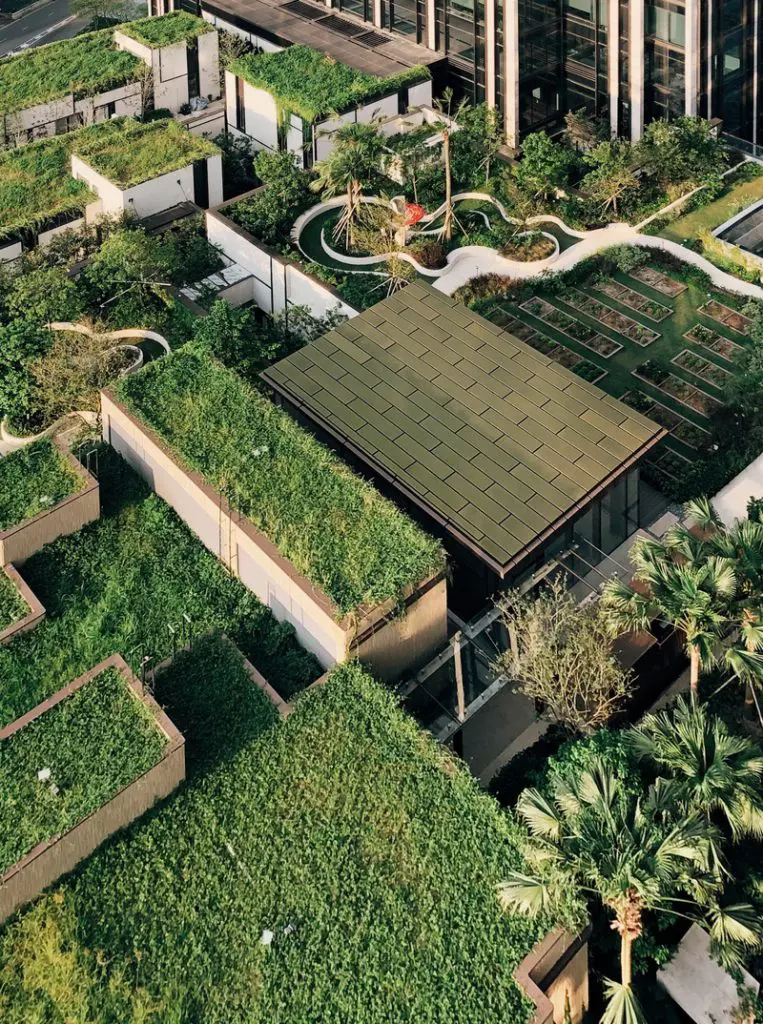 Conozca el primer parque natural y sostenible que celebra la biodiversidad del mundo