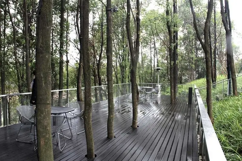 Una encantadora casa contemporánea en medio del verde de un bosque solitario en china