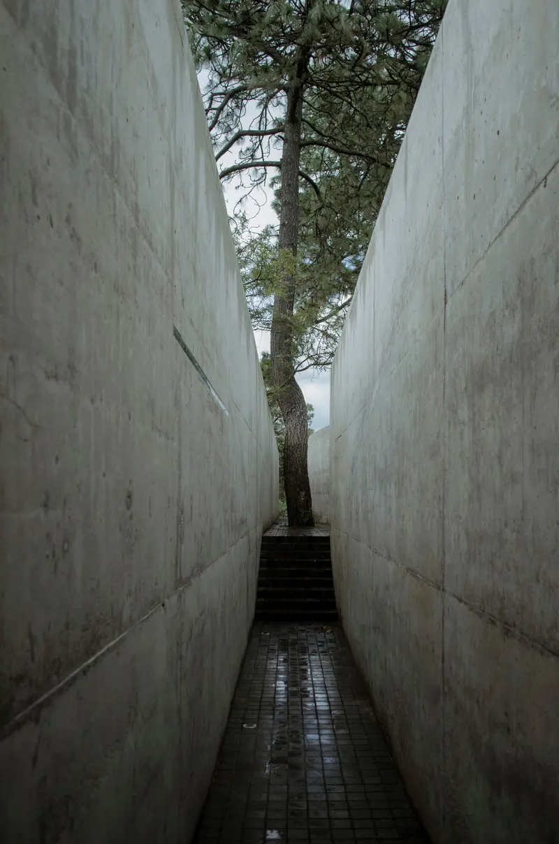 Press kit | 5118-01 - press release | the hill in front of the glen - hw studio - residential architecture - exit hall - photo credit: juan pablo guerra