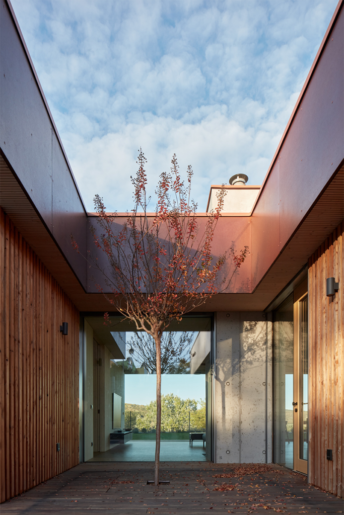 En esta casa la vegetación del exterior impregna en el interior de la obra