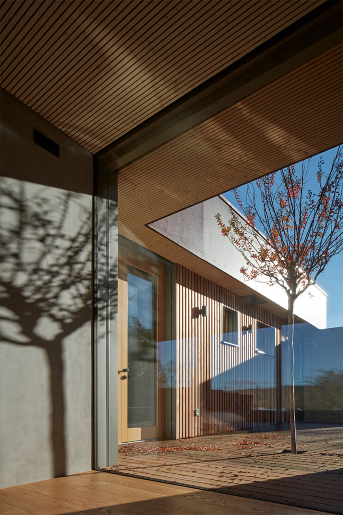 En esta casa la vegetación del exterior impregna en el interior de la obra