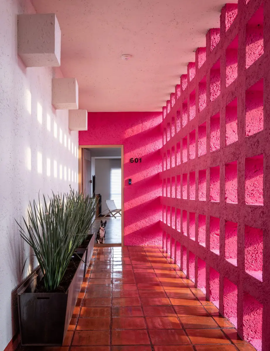 Esta es la renovación y modernización de un apartamento clásico mexicano Esta es la renovación y modernización de un apartamento clásico mexicano