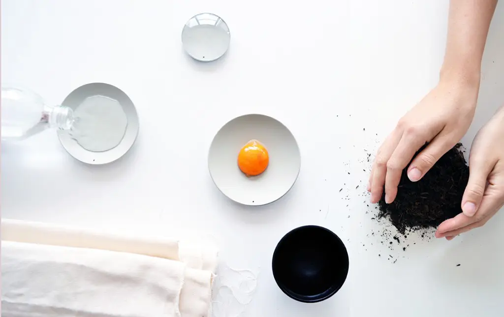 Revista axxis de diseño