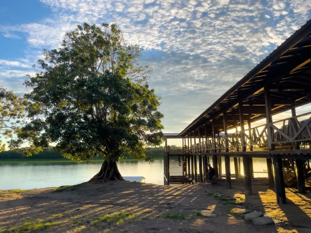 Artesanías de colombia lanza una aplicación para conocer a los mejores artesanos del país Artesanos en colombia