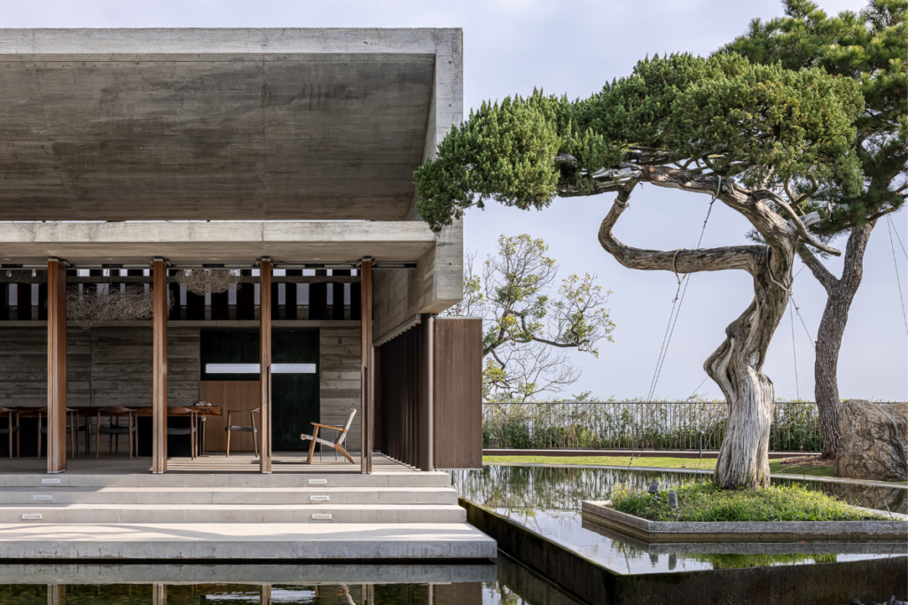 Arquitectura vernácula: un salón de té en taiwán con un diseño que parece vivo