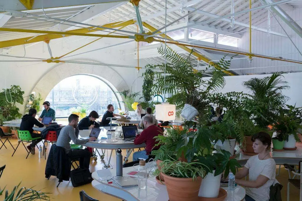 Una oficina creativa con más de 1. 000 plantas y árboles en su interior