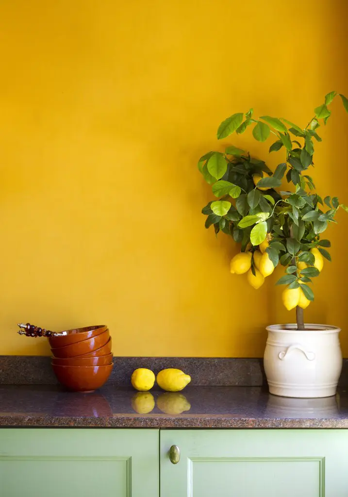 Escoja el color de la pintura de su hogar con esta nueva y sorprendente tecnología Escoja el color de la pintura de su hogar con esta nueva y sorprendente tecnología