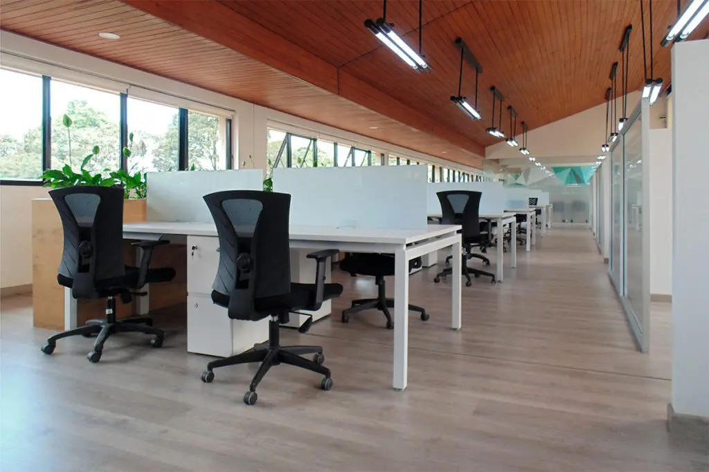 Biofilia y cercanía con la naturaleza en estas hermosas oficinas