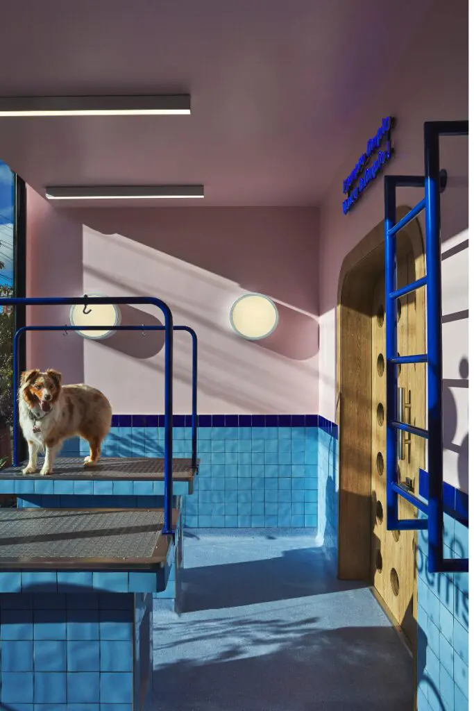 Orgánica y emocional, así se diseñó esta veterinaria en bogotá Orgánica y emocional, así se diseñó esta veterinaria en bogotá