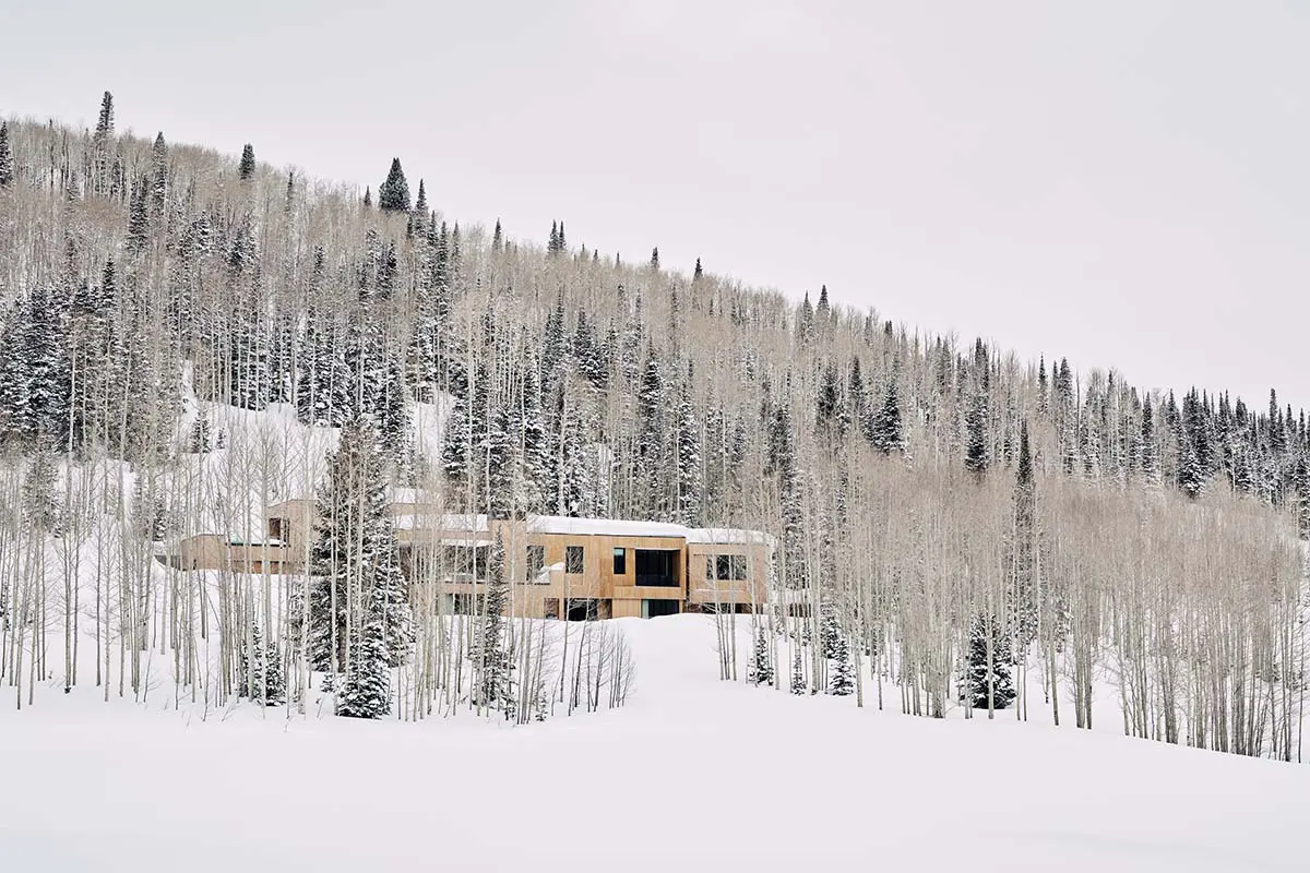 Perfecta para vivir en serenidad junto al bosque: una vivienda en vidrio y madera Perfecta para vivir en serenidad junto al bosque: una vivienda en vidrio y madera