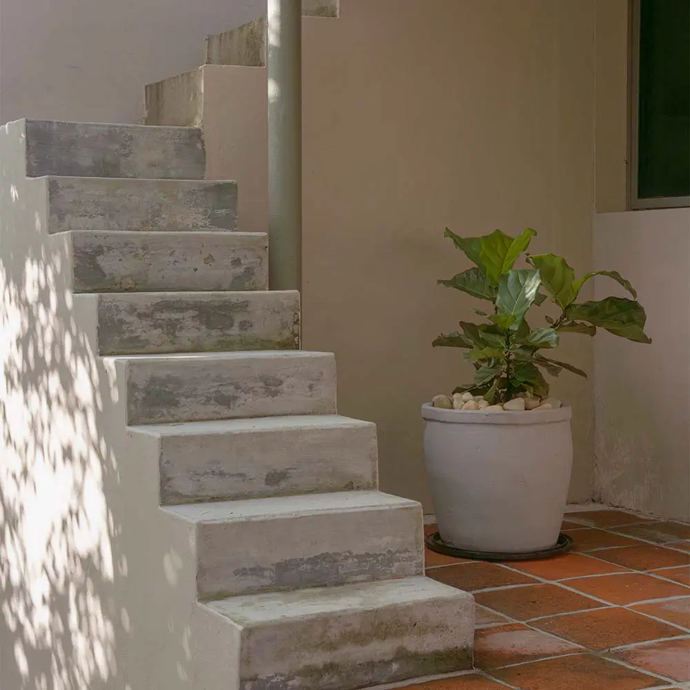 Así se transformó esta vivienda en una obra abierta al paisaje y al clima cálido