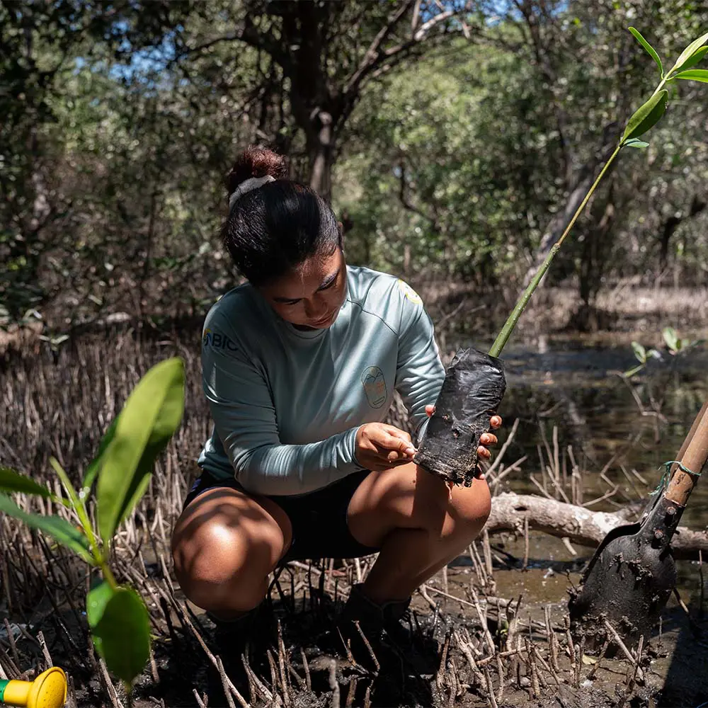 Remar para limpiar, reciclar para vivir: el proyecto de turismo y diseño en la ciénaga grande