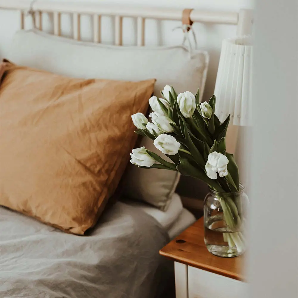 ‘la casa es un territorio vivo’: laura casas da consejos para empezar el 2026