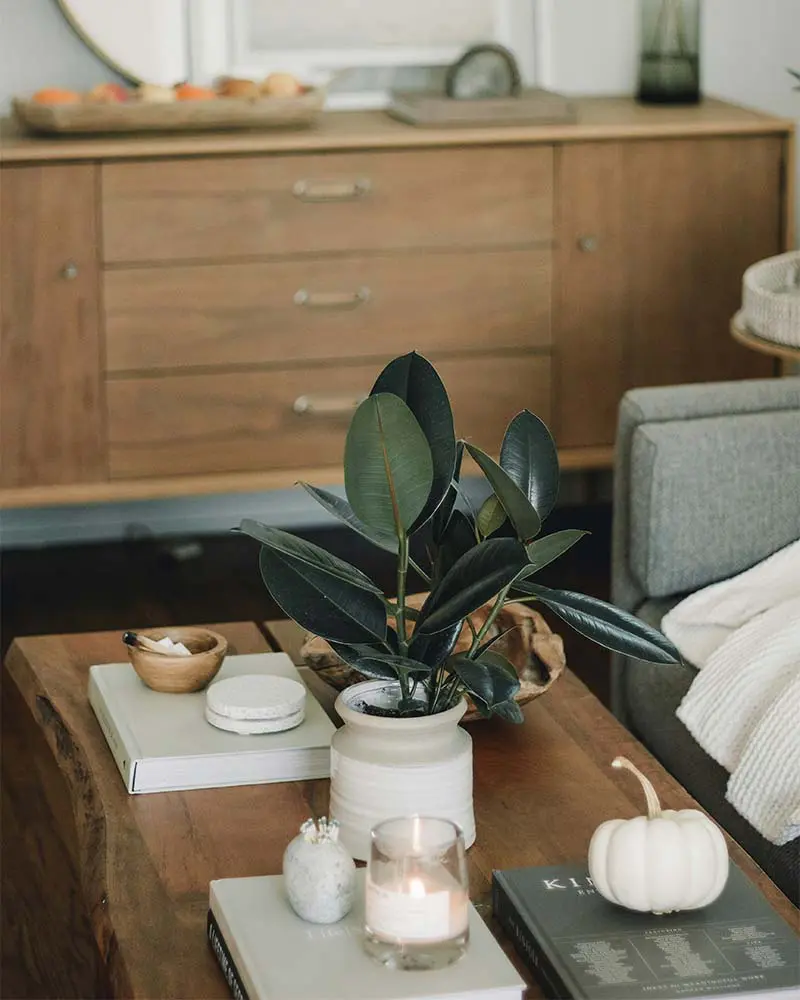 ‘la casa es un territorio vivo’: laura casas da consejos para empezar el 2026