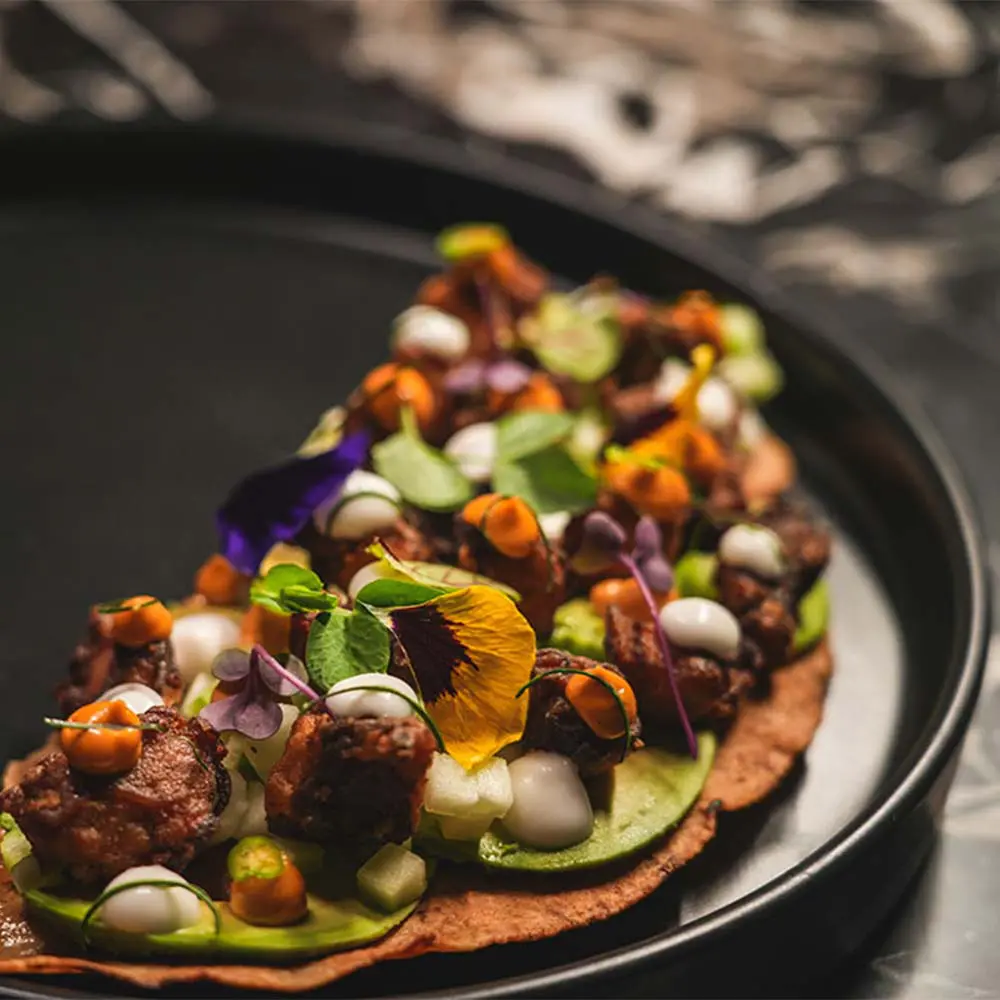 Conozca el único resort cinco estrellas forbes de latinoamérica Conozca el único resort cinco estrellas forbes de latinoamérica