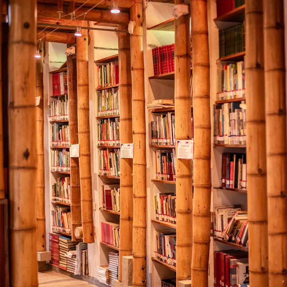 La biblioteca que se convirtió en símbolo de paz: la historia de casa del pueblo en el cauca