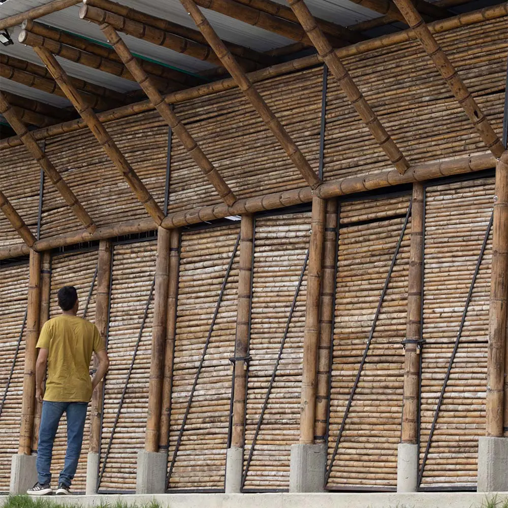 Transformar la guadua en arquitectura, conocimiento y futuro en el cauca