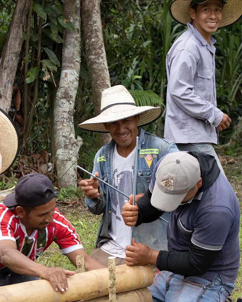 Transformar la guadua en arquitectura, conocimiento y futuro en el cauca