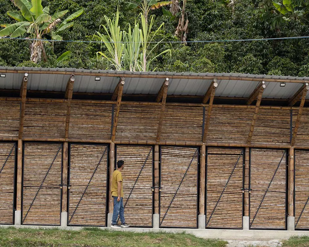 Transformar la guadua en arquitectura, conocimiento y futuro en el cauca