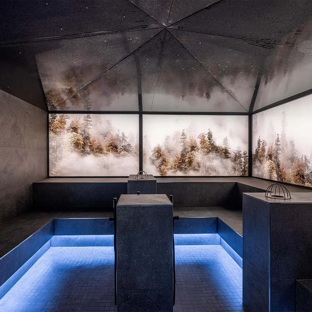 Este edificio es una experiencia termal diseñado para disfrutar del paisaje alemán