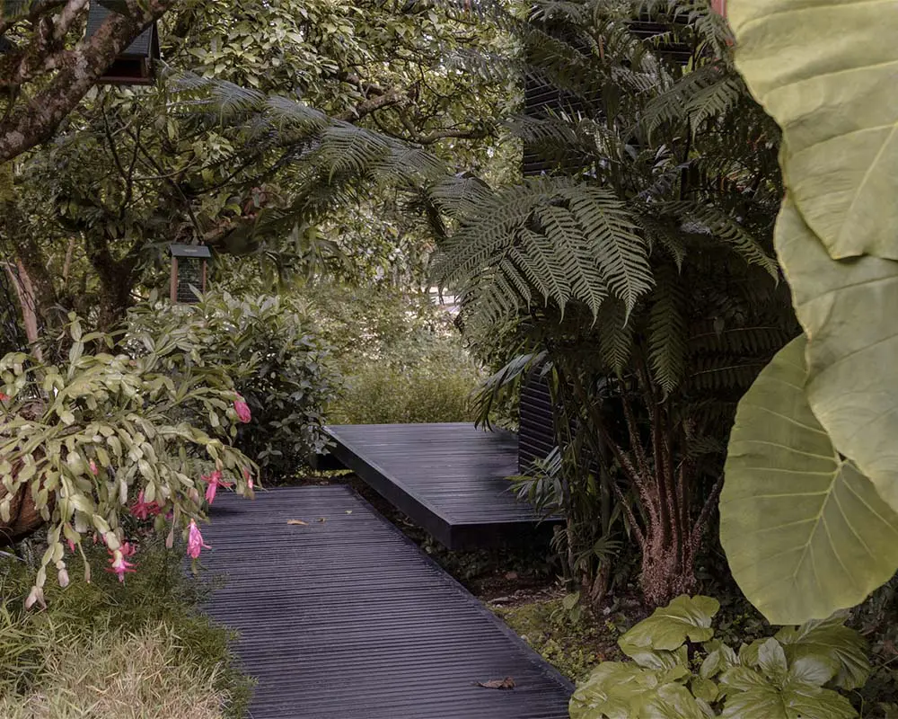 Maleza jardín y su práctica que redefine la manera de proyectar el paisaje en colombia