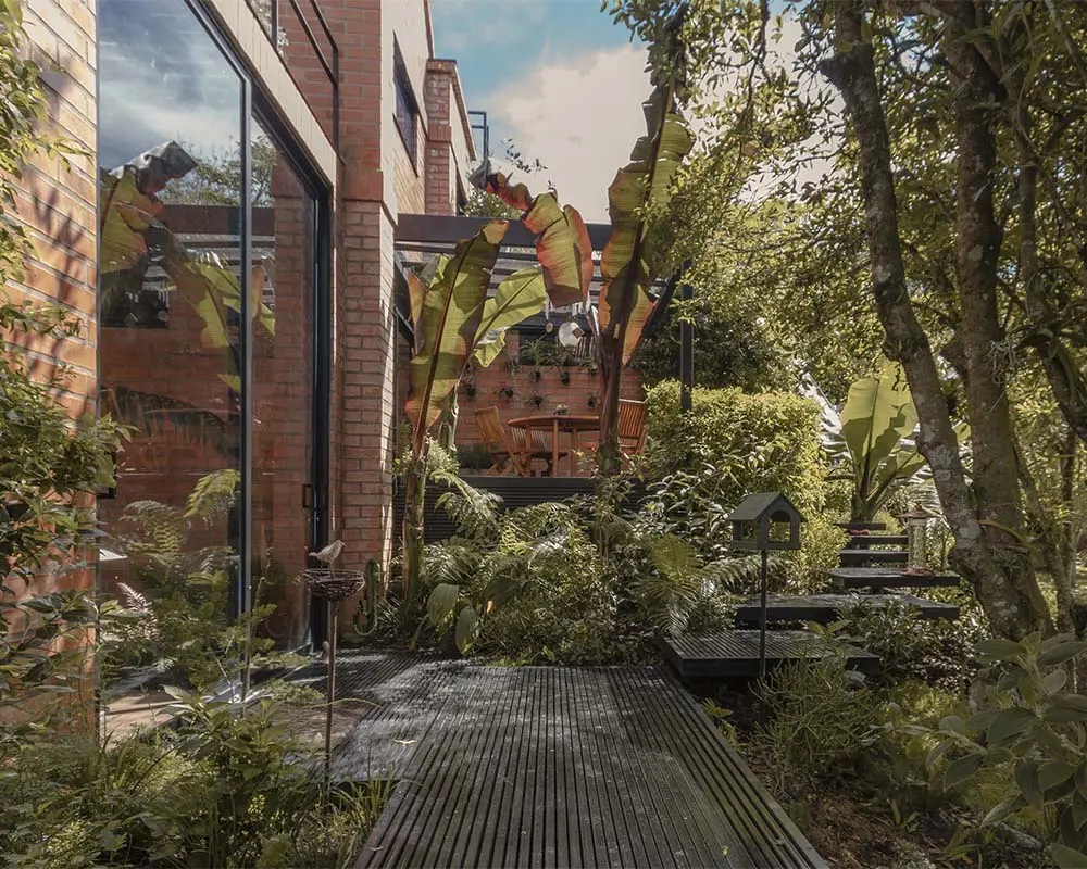 Maleza jardin arquitectura