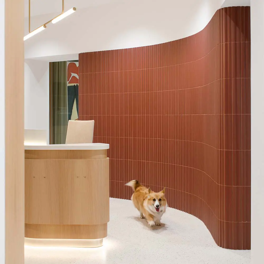 Una oficina que no abruma, no distrae y no cansa: así se diseño este espacio de trabajo Una oficina que no abruma, no distrae y no cansa: así se diseño este espacio de trabajo