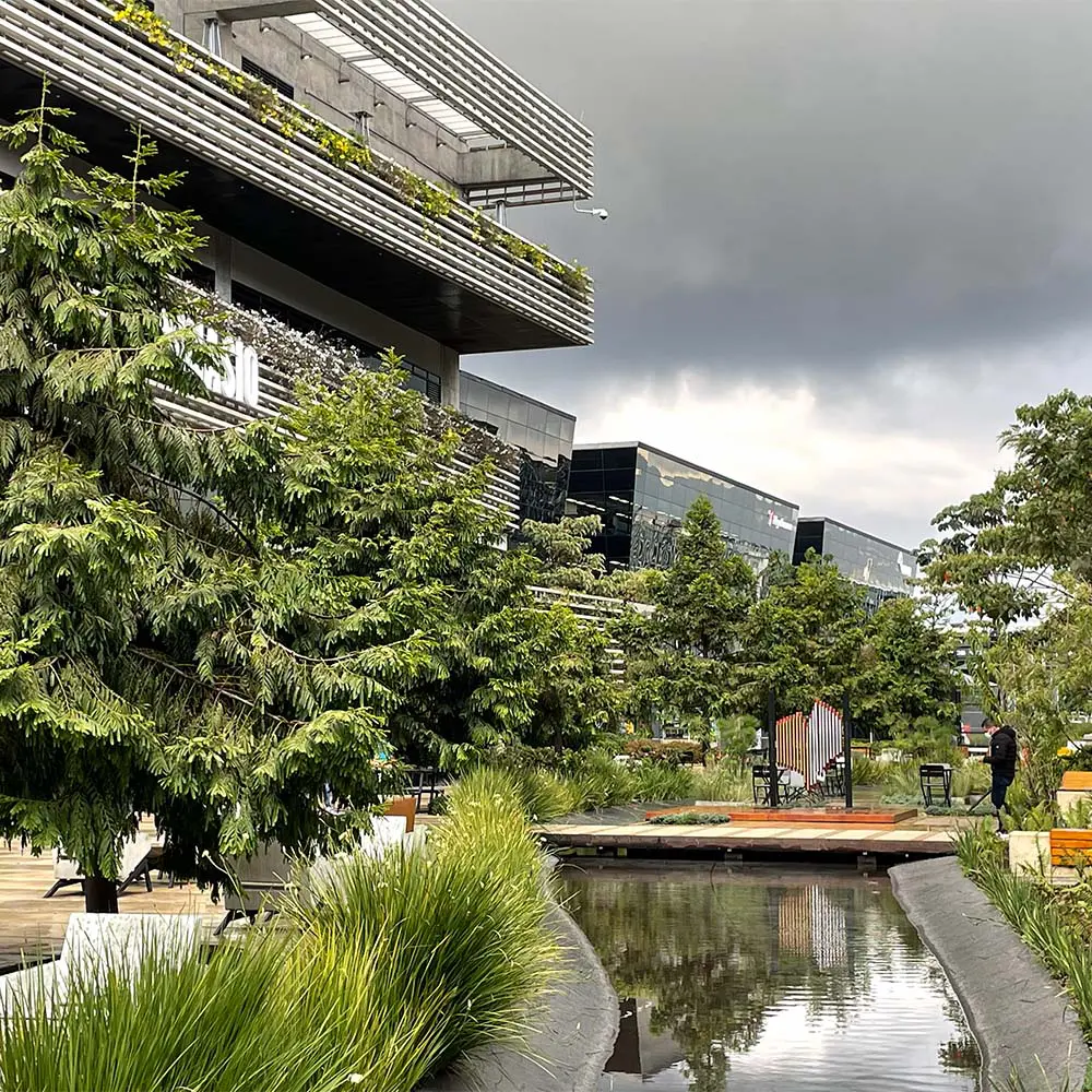 El agua como estructura: diana wiesner hace visible el paisaje urbano