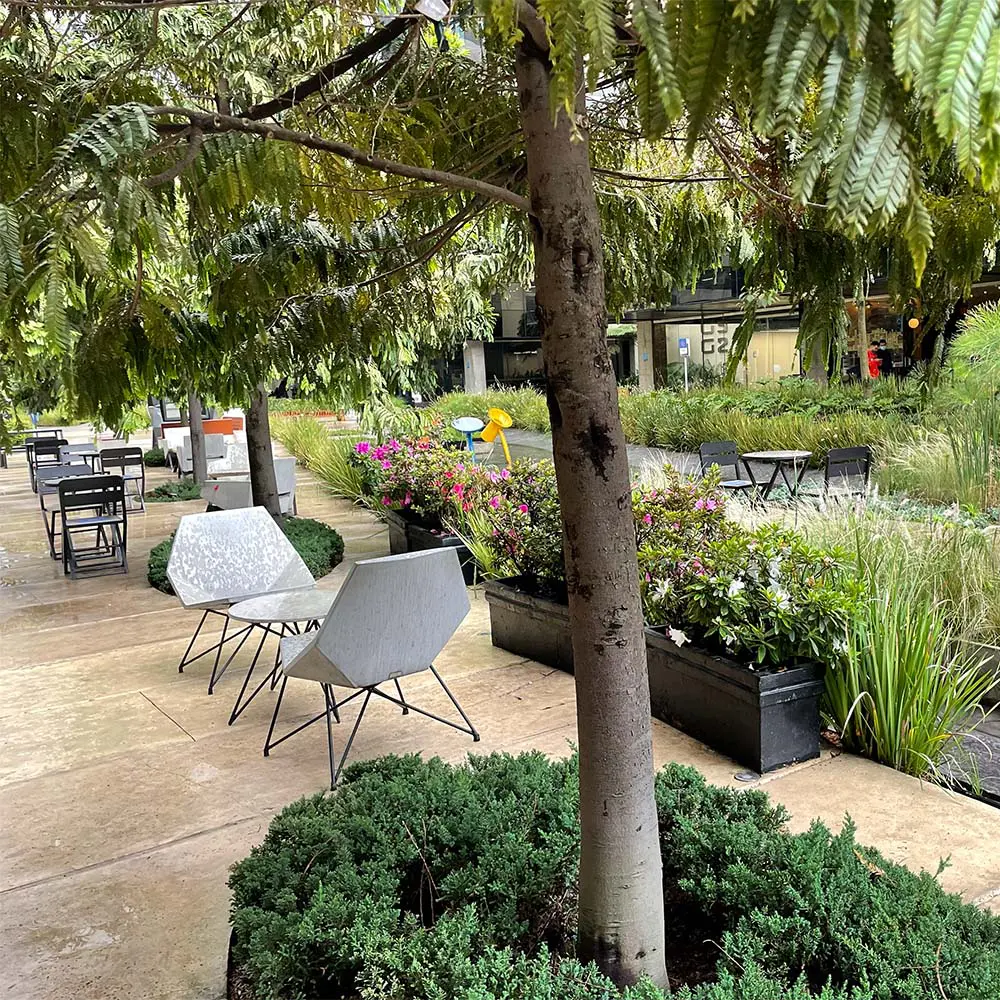 El agua como estructura: diana wiesner hace visible el paisaje urbano