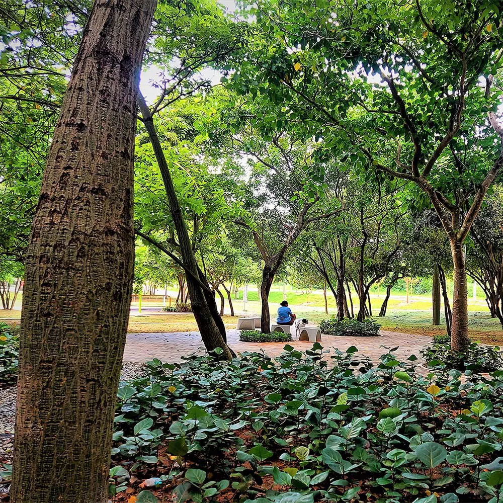 El agua como estructura: diana wiesner hace visible el paisaje urbano