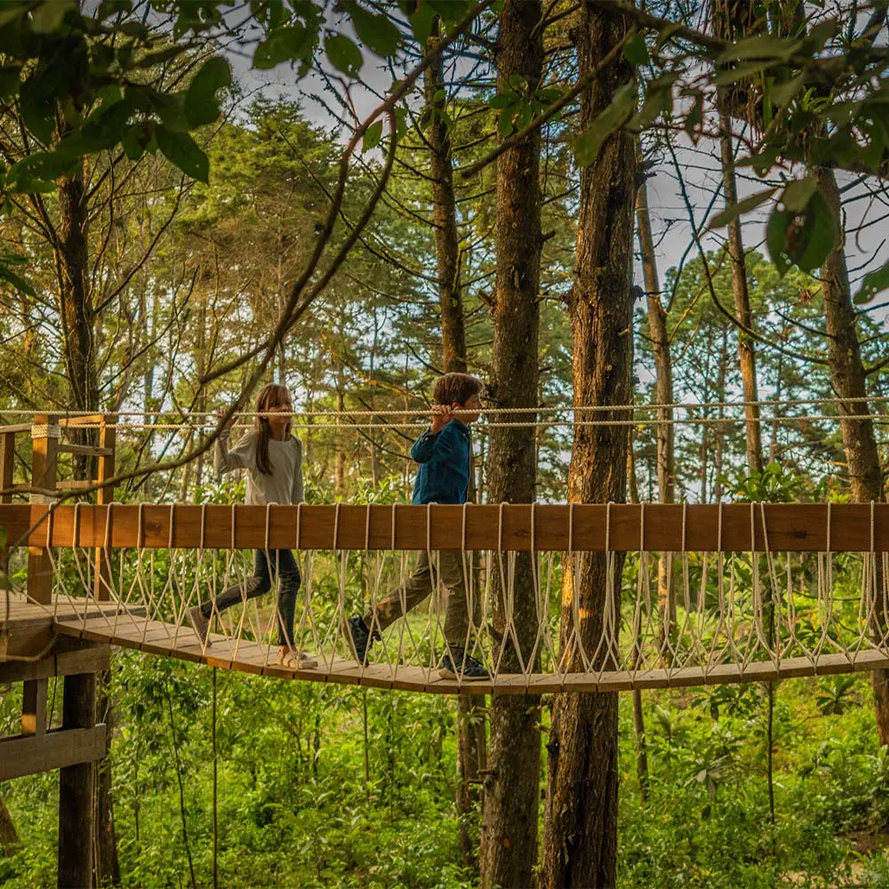 El agua como estructura: diana wiesner hace visible el paisaje urbano